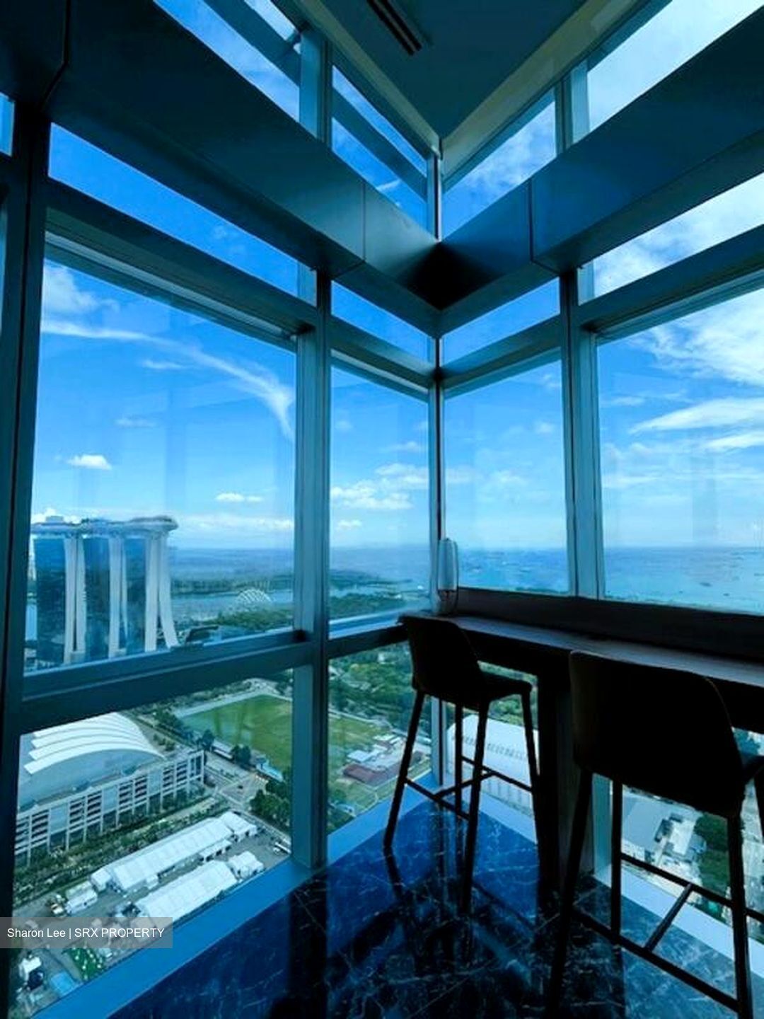 Marina Boulevard (D1), Condominium #463880251